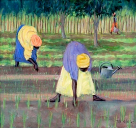 女性ガーデニング、2005